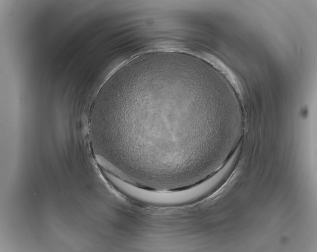 X0000097631385200803211758