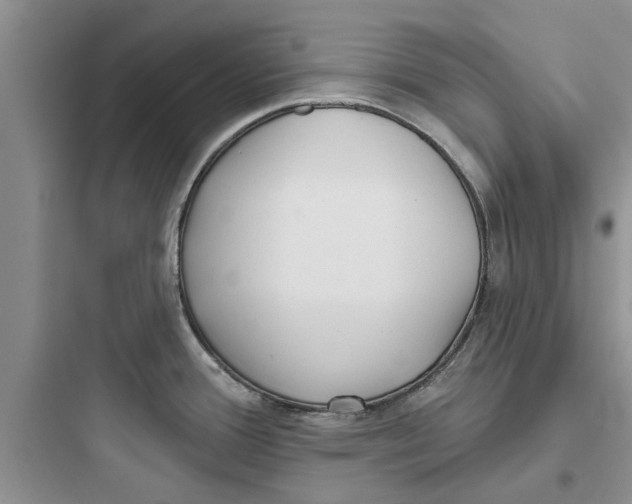 X0000097631388200803211758