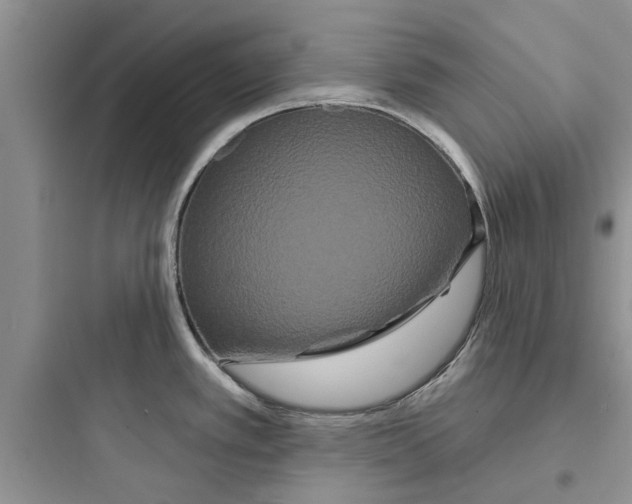 X0000097631389200803211758