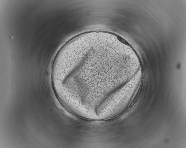 X0000097631390200803211758