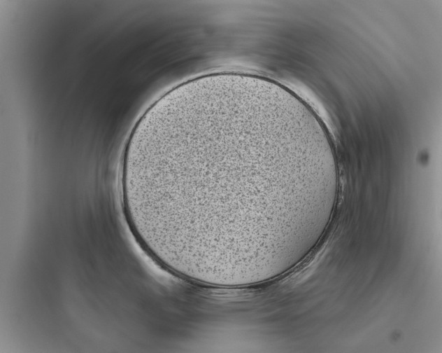 X0000097631391200803211758