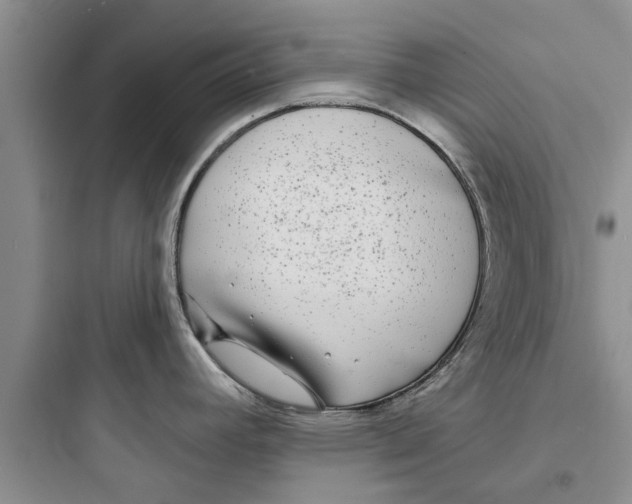 X0000097631392200803211758