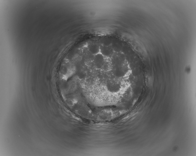 X0000097631393200803211758