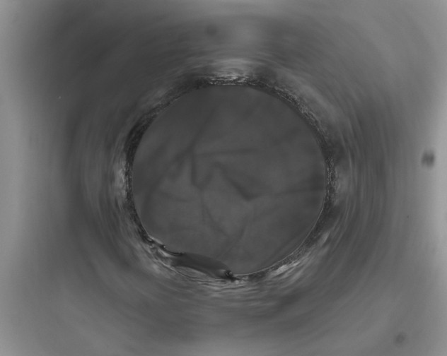 X0000097631394200803211758