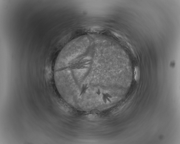 X0000097631395200803211758