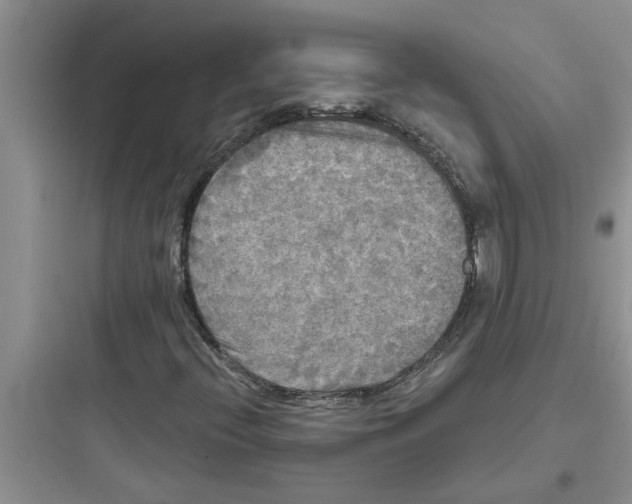 X0000097631396200803211758