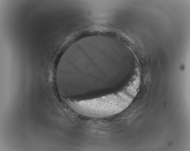 X0000097631397200803211758