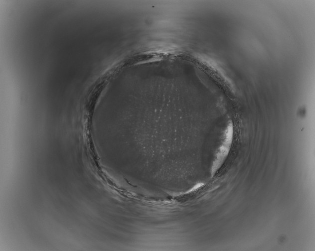 X0000097631399200803211758