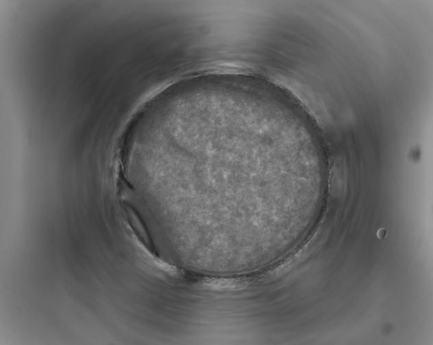 X0000097631402200803211758