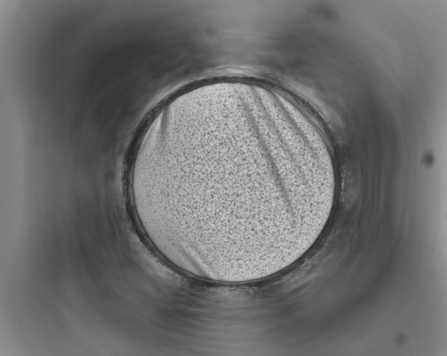 X0000097631404200803211758