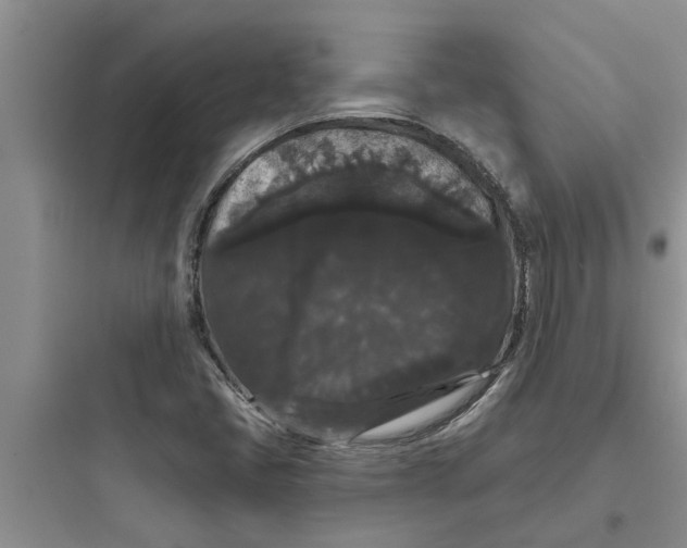 X0000097631405200803211758