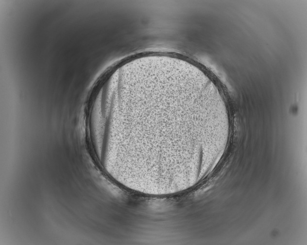 X0000097631408200803211758