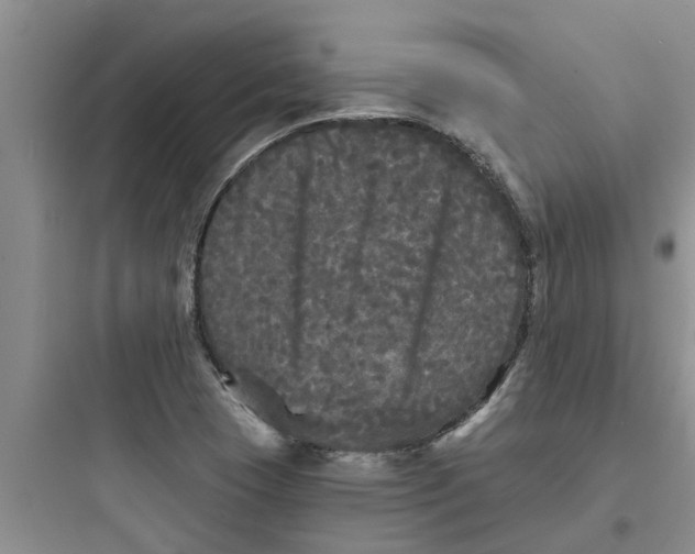 X0000097631409200803211758