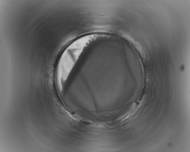 X0000097631411200803211758