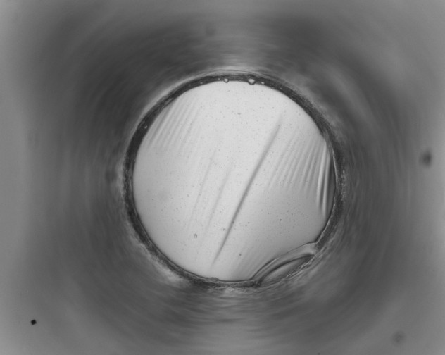 X0000097631412200803211758