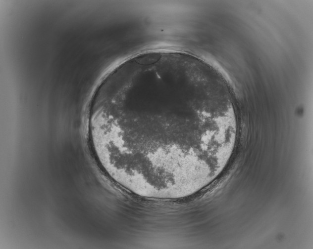 X0000097631413200803211758