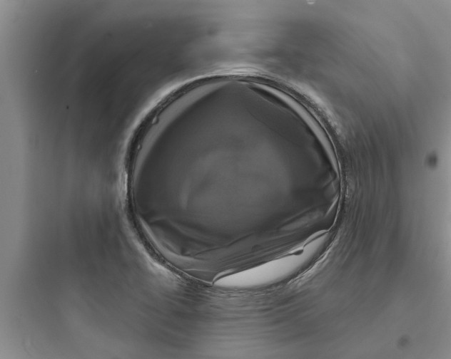 X0000097631414200803211758