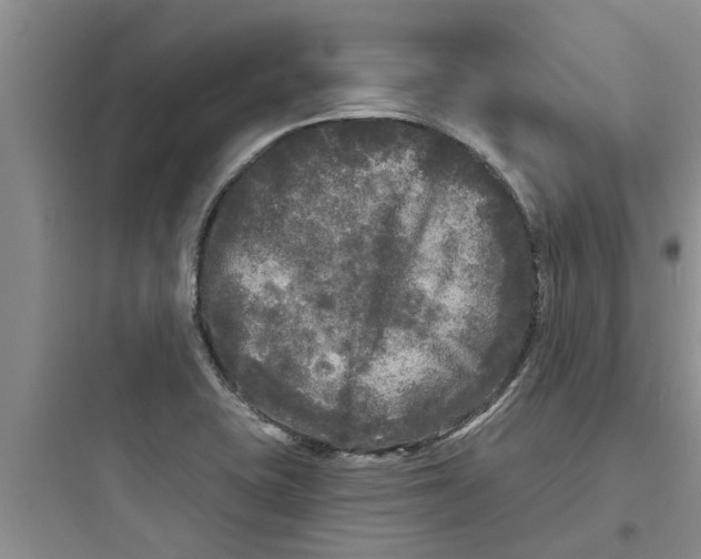 X0000097631415200803211758