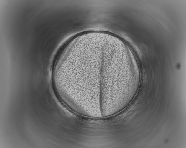 X0000097631416200803211758