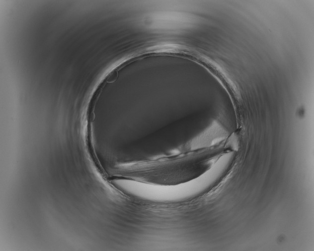 X0000097631418200803211758