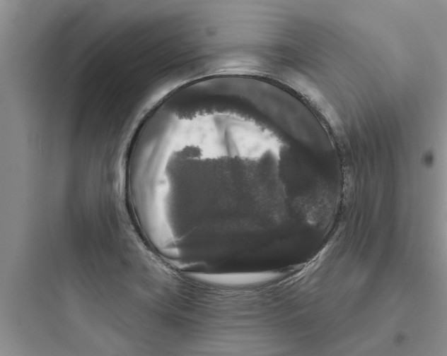 X0000097631419200803211758