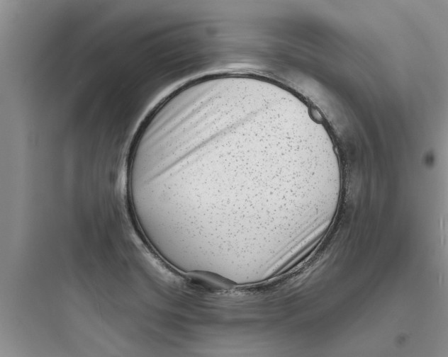 X0000097631420200803211758