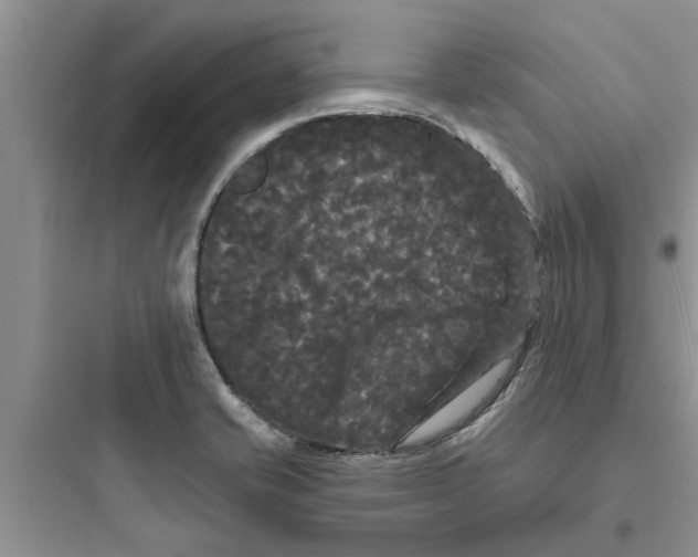 X0000097631421200803211758