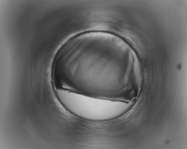 X0000097631422200803211758