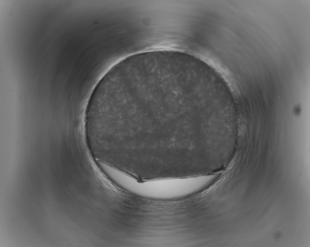 X0000097631423200803211758