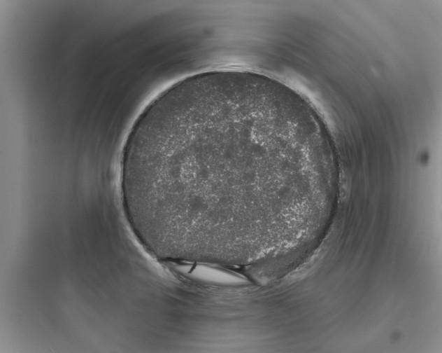 X0000097631424200803211758