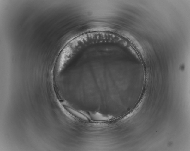 X0000097631425200803211758