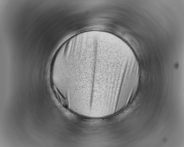 X0000097631426200803211758