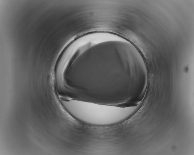 X0000097631428200803211758