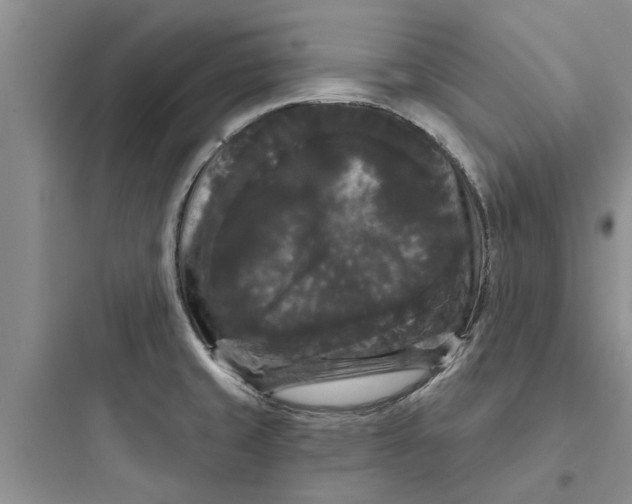 X0000097631429200803211758