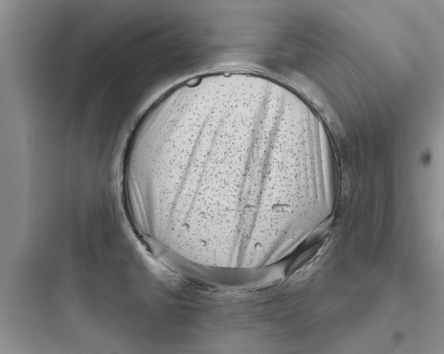 X0000097631430200803211758