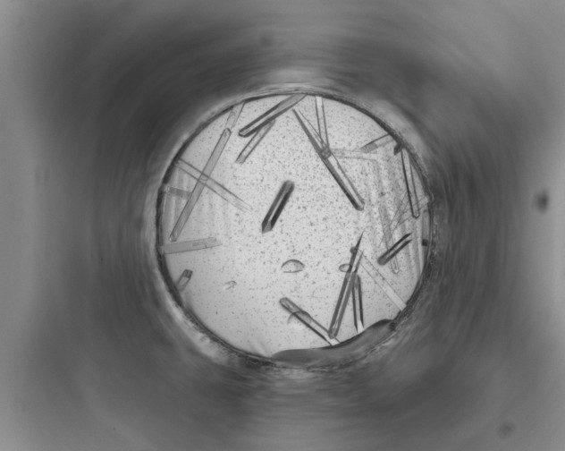 X0000097631431200803211758