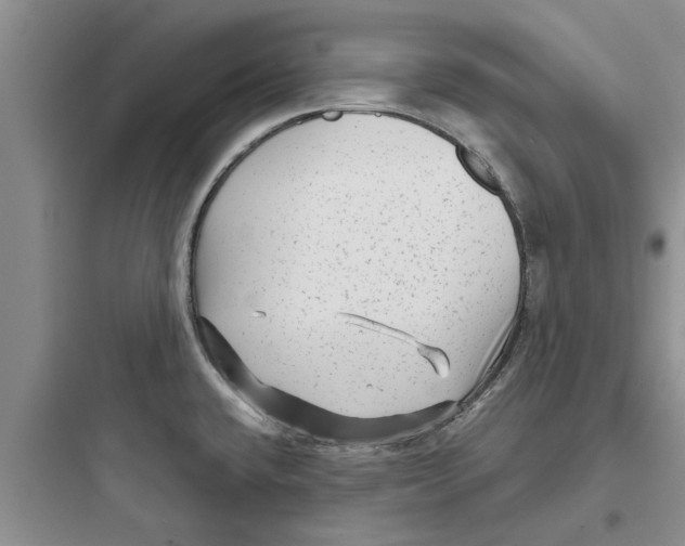 X0000097631432200803211758