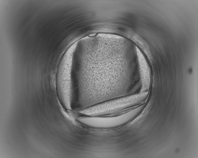 X0000097631433200803211758