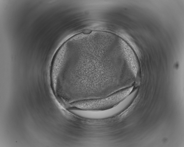 X0000097631434200803211758