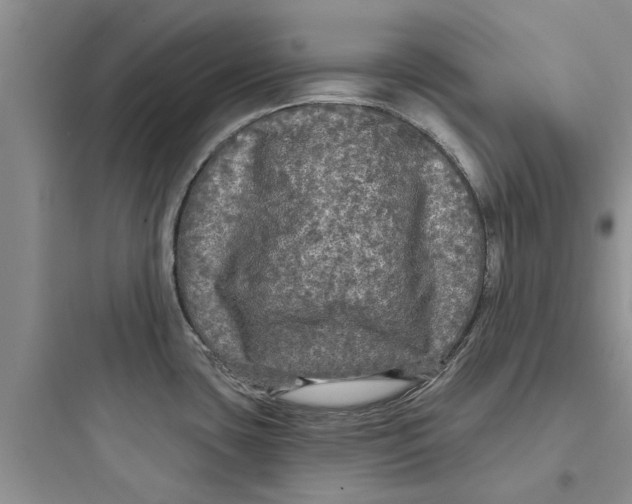 X0000097631435200803211758