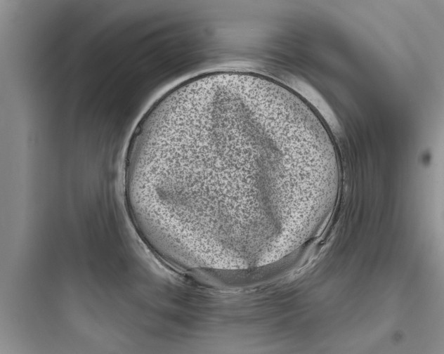 X0000097631436200803211758