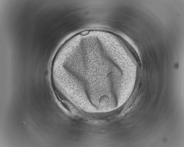 X0000097631437200803211758