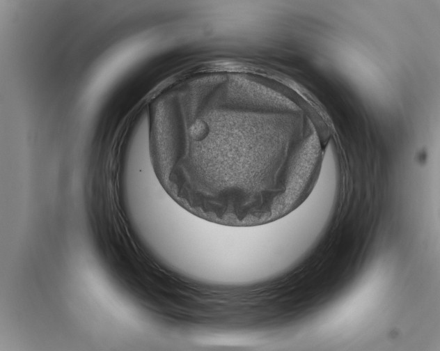 X0000097631438200803211758