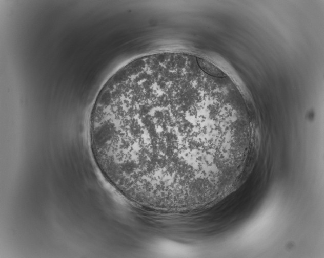 X0000097631439200803211758