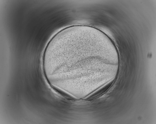 X0000097631440200803211758