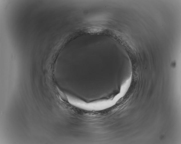 X0000097631441200803211758