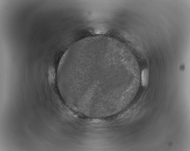 X0000097631443200803211758