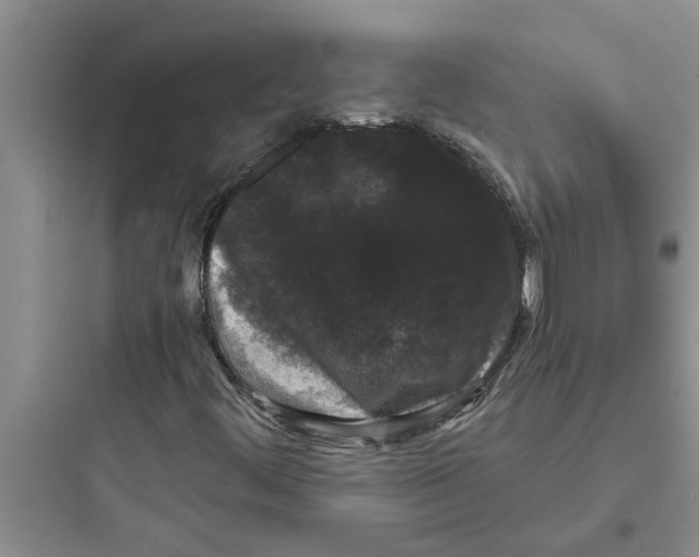 X0000097631444200803211757