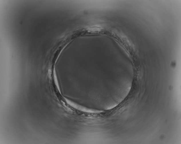 X0000097631445200803211757