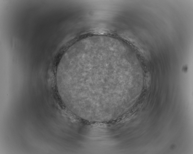 X0000097631446200803211757